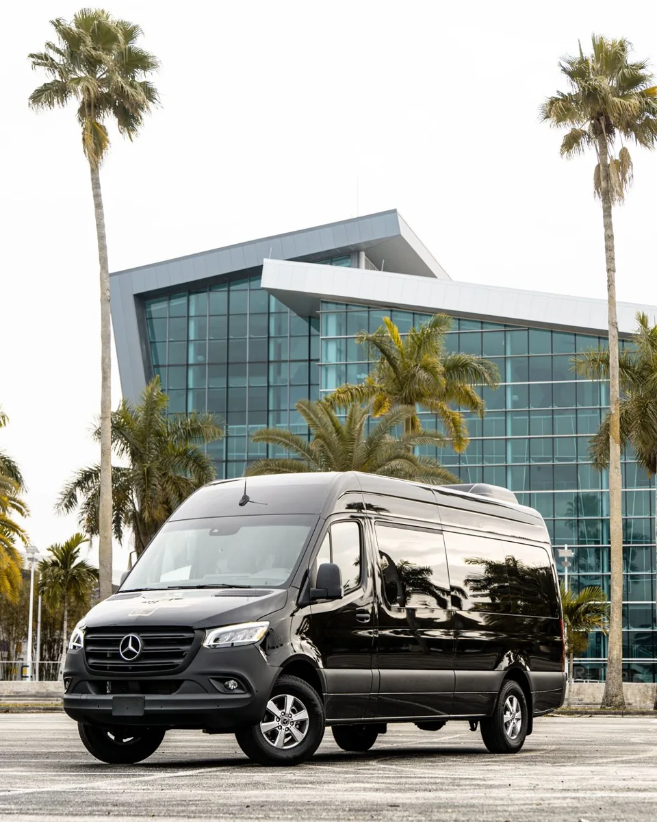 Black passenger van parked among palms